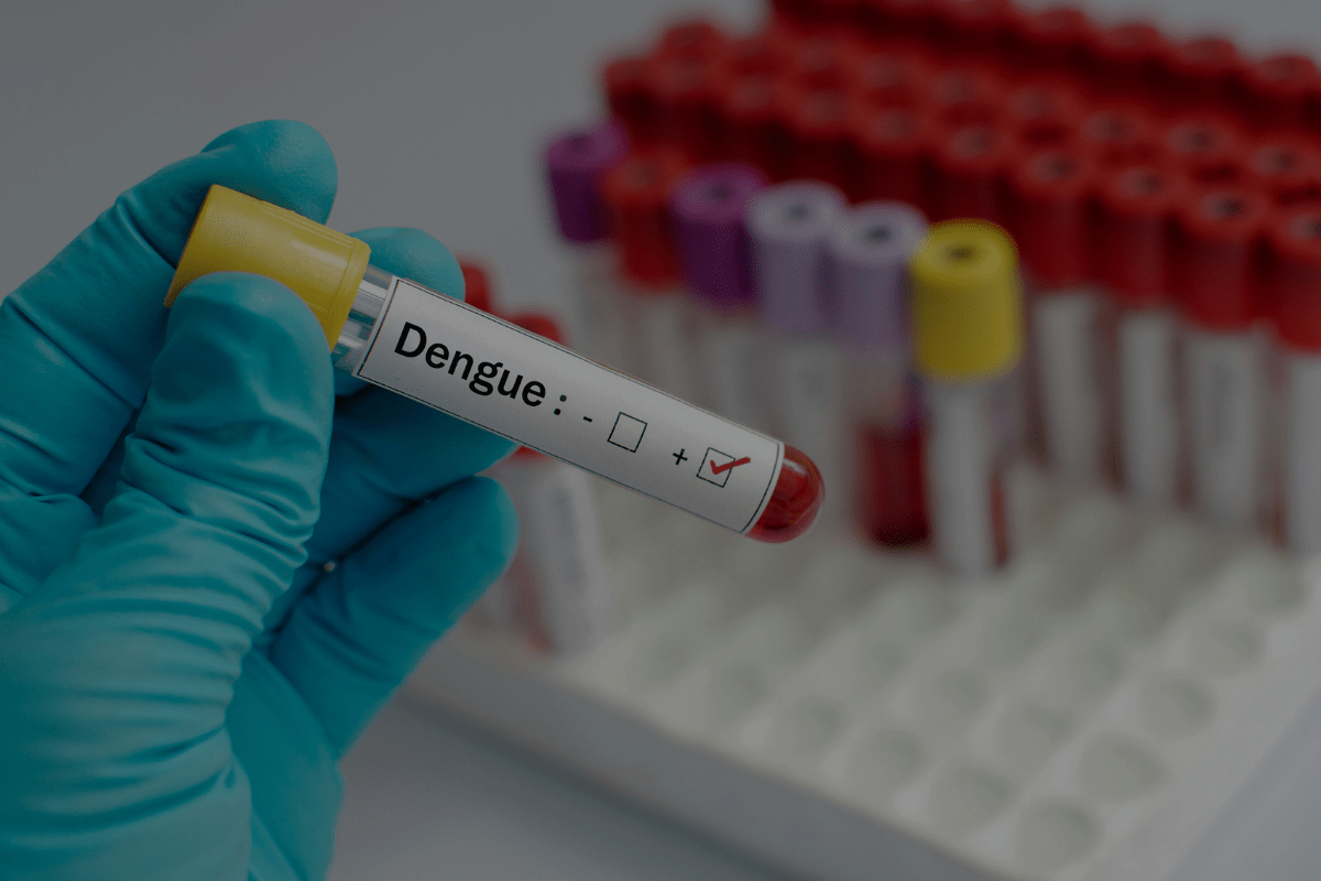 Dengue Fever Vaccine UK