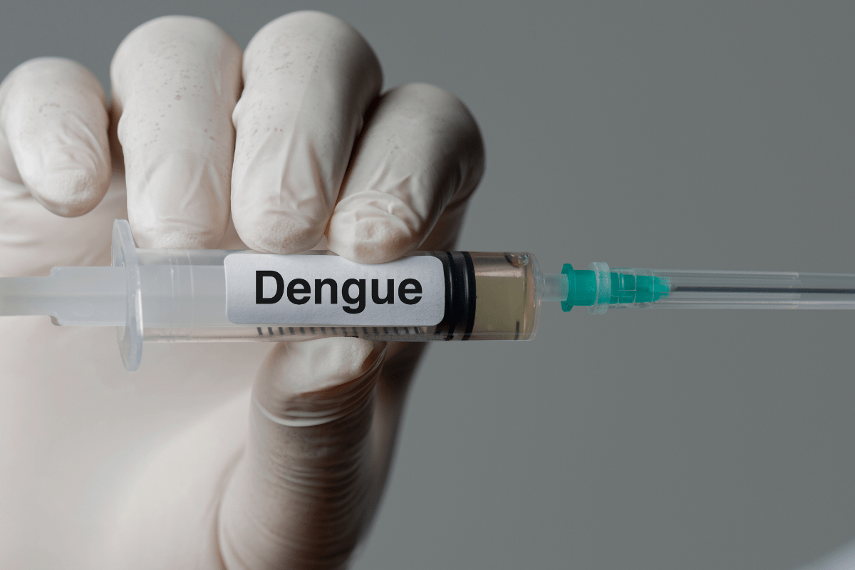 Dengue Fever Vaccine London