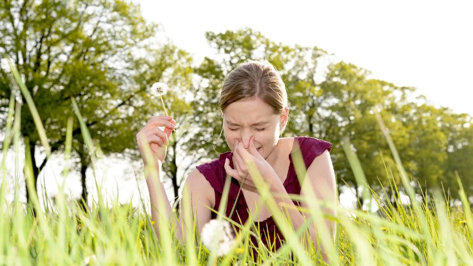 eye drops for hay fever