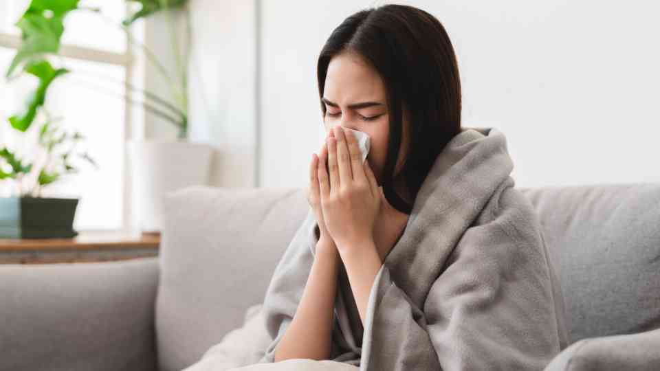 lemsip cold and flu capsules