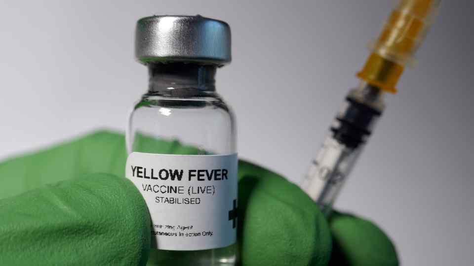 yellow fever vaccination murray pharmacy